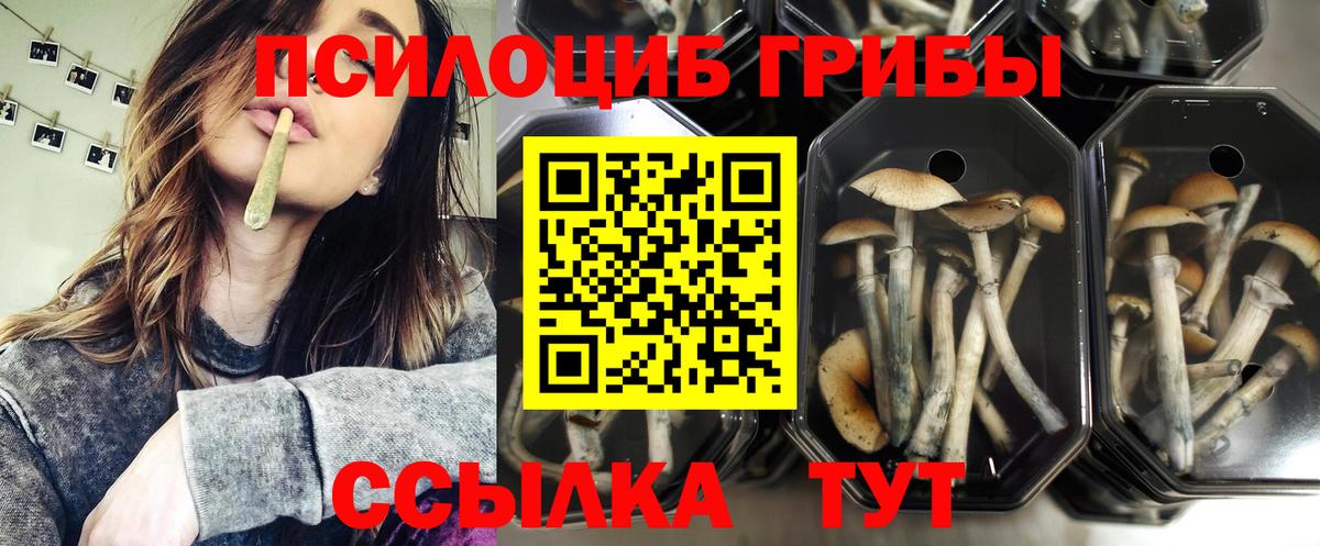 Каспийск  Галлюциногенные грибы прущие грибы  Вход с VPN 